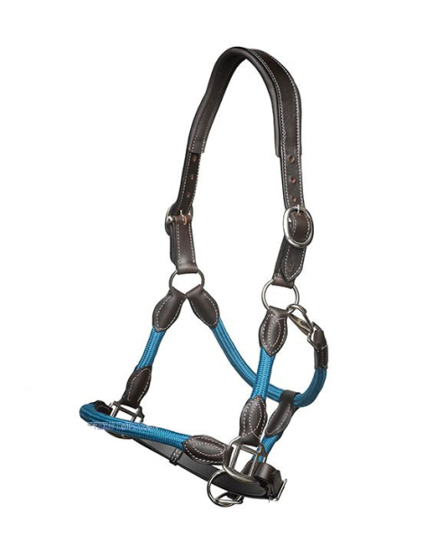 Anatomisch geformtes Halfter mit Führstrick in pacific